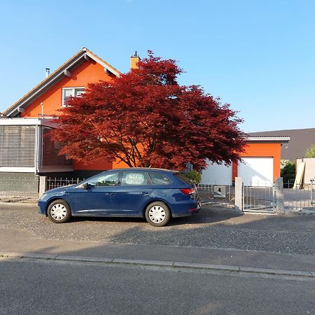 Sonnige Ferienwohnung Bei Familie Koehler Kappel-Grafenhausen Dış mekan fotoğraf