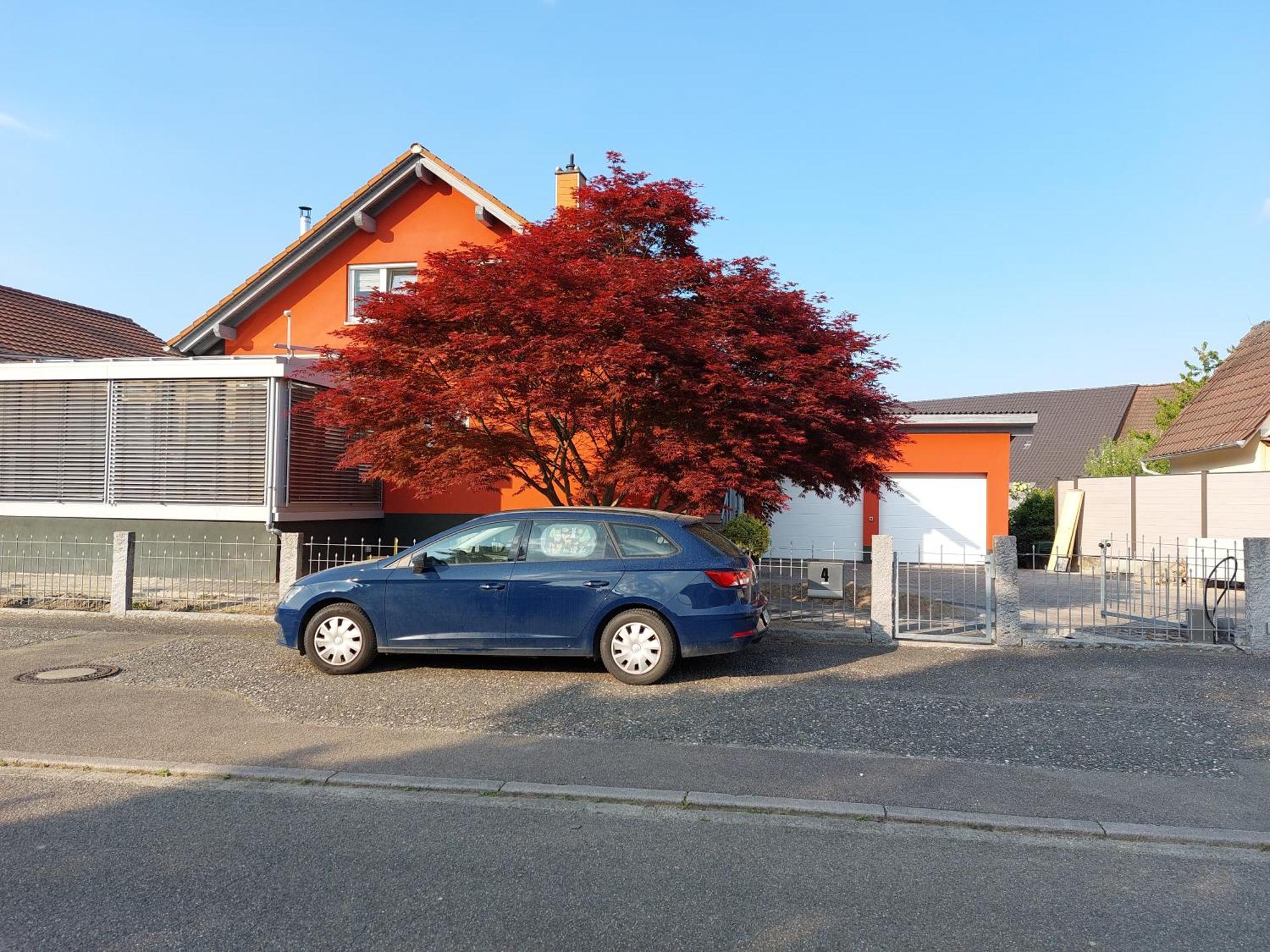 Sonnige Ferienwohnung Bei Familie Koehler Kappel-Grafenhausen Dış mekan fotoğraf